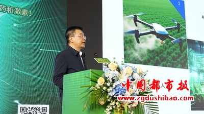 图片28
