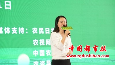 图片31