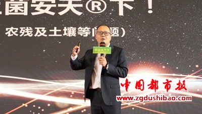 图片32
