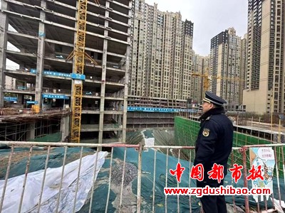 图片6