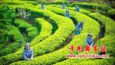 图片2