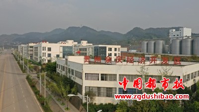 图片16