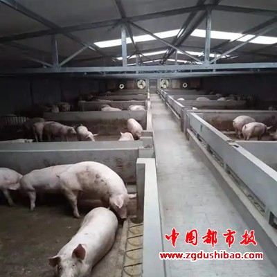 图片6