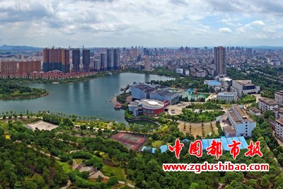 图片1