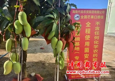 微信图片_20250704203317