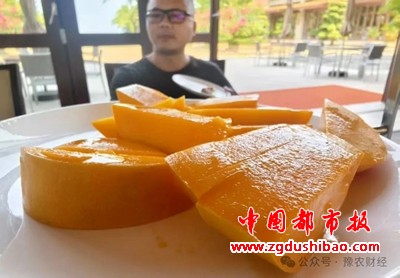 微信图片_20250704203330