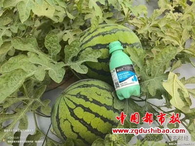 微信图片_20250704203335