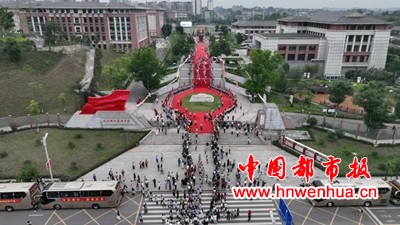 图片8