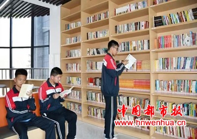 图片3