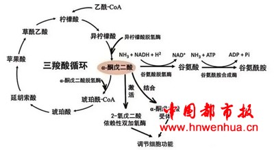 微信图片_20250709202156