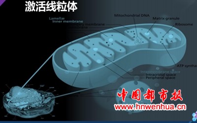 微信图片_20250709203558