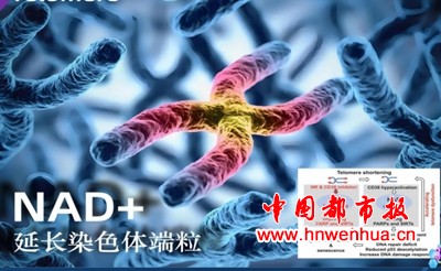 微信图片_20250709203554