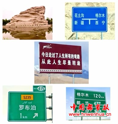 图片15