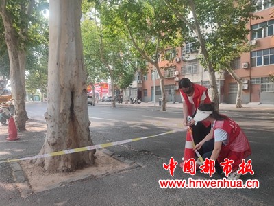 微信图片_20250717125332