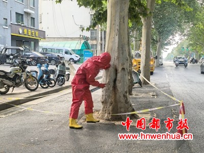 微信图片_20250717125347