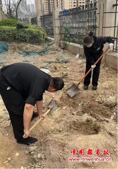 图片61