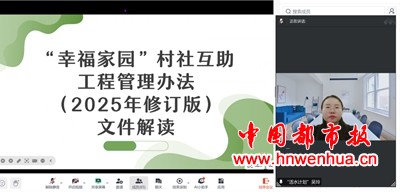 图片11