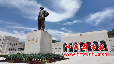 图片5