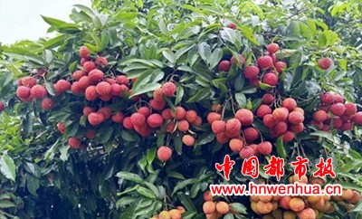 图片54