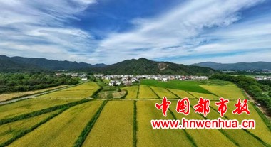 微信图片_20250831091054