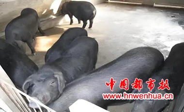 微信图片_20251010112554_16_130