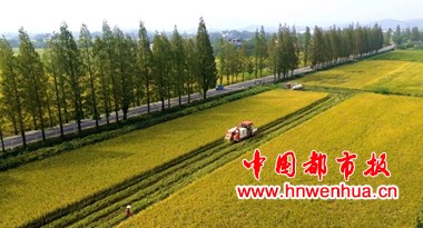 微信图片_20251013082206_24_130