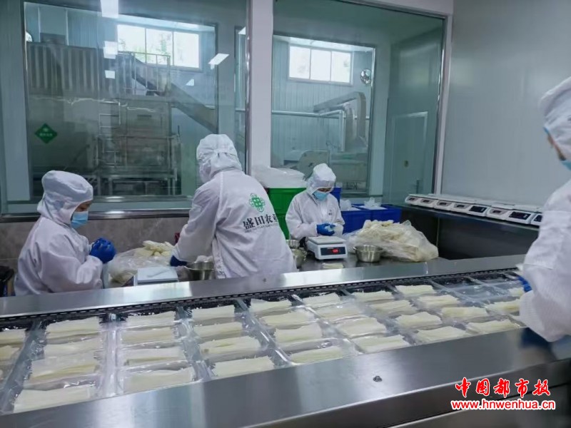 微信图片_20251127103549_24_113