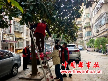 微信图片_20251128111107_85_130